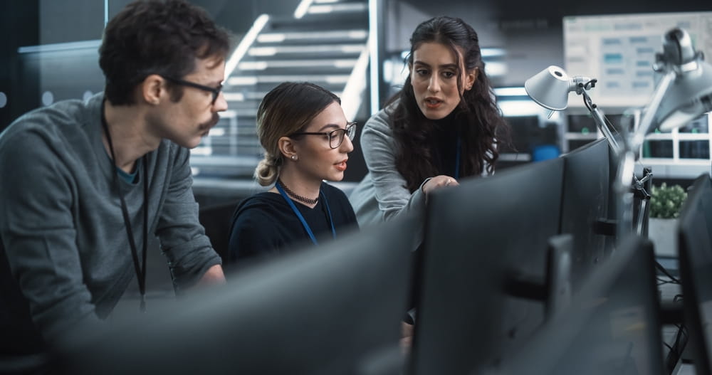 Software Engineers Using Computer